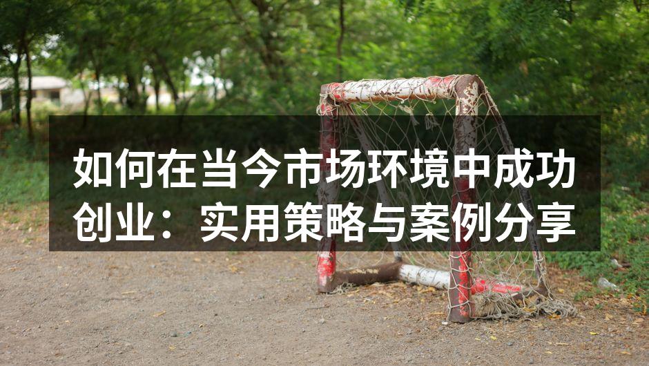 如何在当今市场环境中成功创业：实用策略与案例分享